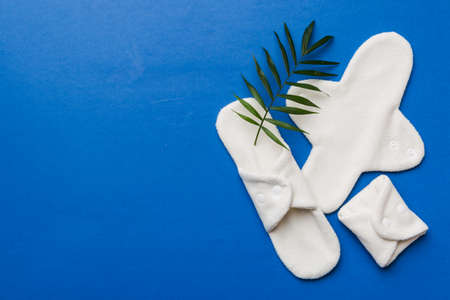 lean feminine sanitary napkin with green leaf. Absence of menstruation in women. Minimal concept of female menopause. Copy space top view.の写真素材