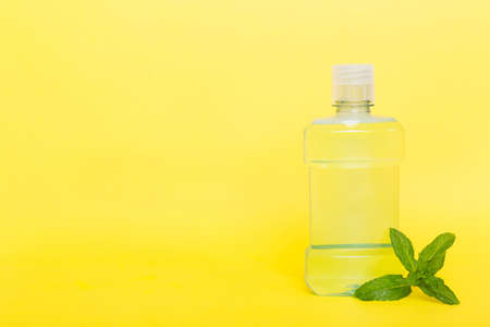 Mouthwash and fresh mint on colored background, top view with copy space for text.の写真素材