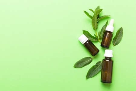 Natural Mint Essential Oil in a Glass Bottle. organic cosmetics with herbal extracts of mint on...