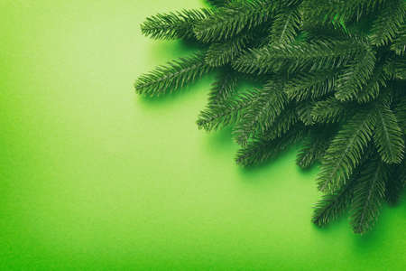 Christmas holiday background with copy space for advertising text. Fir branches on color background . Flat lay, top view.の写真素材
