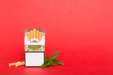 Pack of menthol cigarettes and fresh mint on colored table, Menthol cigarettes top view flat lay.