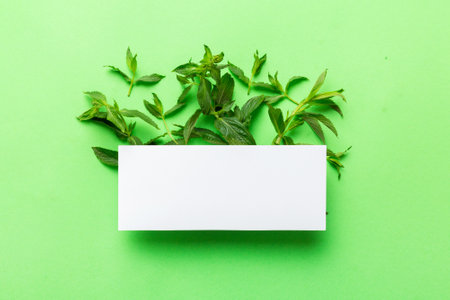 Wreath frame made of empty paper blank with space for text and mint leaves on colored background. ....