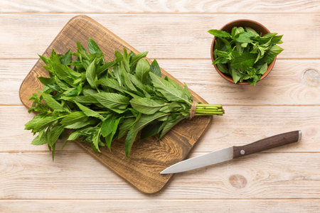 Bunch of fresh mint on the cutting boards, colored background top view.