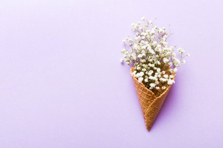 Waffle cone with beautiful gypsophila flowers on color background. summer concept. Copy space top view.の写真素材