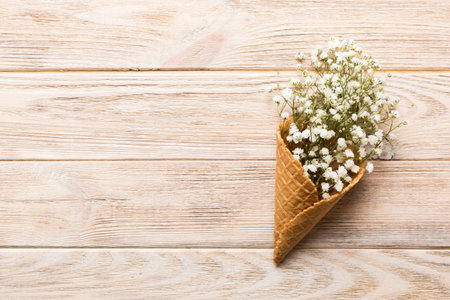 Waffle cone with beautiful gypsophila flowers on color background. summer concept. Copy space top view.の写真素材