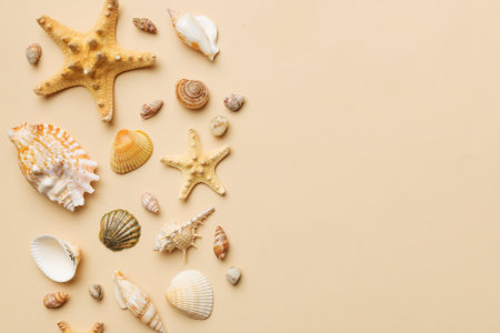Summer time concept Flat lay composition with beautiful starfish and sea shells on colored table, top view with copy space for text.の写真素材