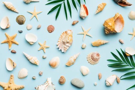 Summer time concept Flat lay composition with beautiful starfish and sea shells on colored table, top view.の写真素材