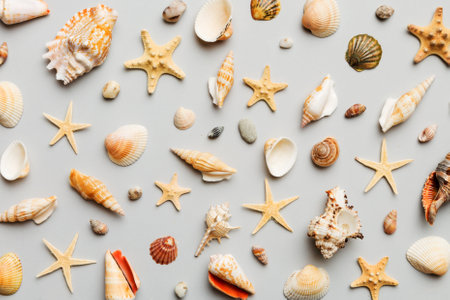 Summer time concept Flat lay composition with beautiful starfish and sea shells on colored table, top view.の写真素材