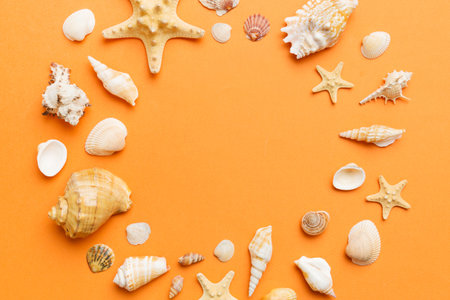 Summer time concept on colored background. Seashells from ocean shore in the shape of frame...