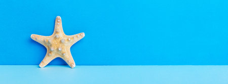 Beach seashells on colored background. Mock up with copyspace.の写真素材