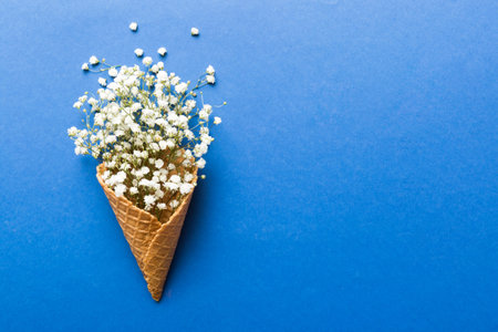 Waffle cone with beautiful gypsophila flowers on color background. summer concept. Copy space top view.の写真素材