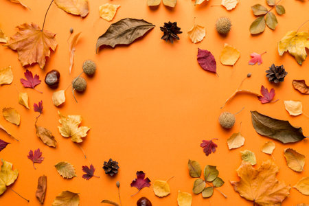 Autumn composition made of dried leaves, cones and acorns on table. Flat lay, top view.の写真素材