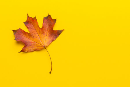 autumn composition. Pattern made of dried leaves and other design accessories on table. Flat lay,...