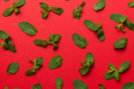 Fresh green mint leaves on white background, Mint leaves pattern Top view with copy space.の写真素材