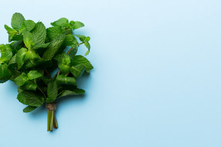 Mint leaf. Fresh mint on Colored background. Mint leaves isolated Top view with copy space.の写真素材