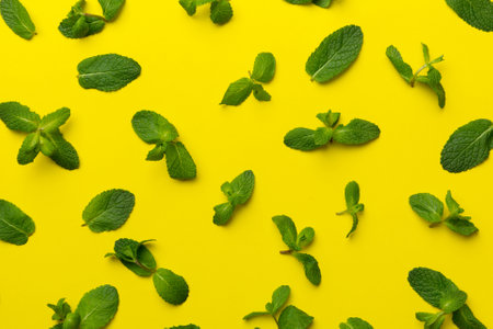 Fresh green mint leaves on white background, Mint leaves pattern Top view with copy space.