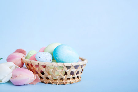 Happy Easter composition. Easter eggs in basket on colored table with yellow Tulips. Natural dyed...