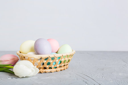 Happy Easter composition. Easter eggs in basket on colored table with yellow Tulips. Natural dyed...