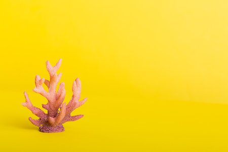 Summer time concept with sea shells or starfish on a table background with copy space for text.の写真素材