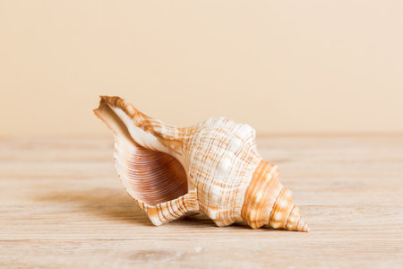 Summer time concept with sea shells or starfish on a table background with copy space for text.