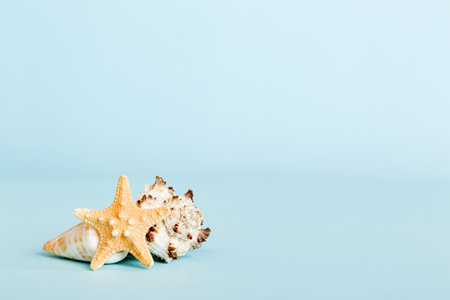 Summer time concept with sea shells or starfish on a table background with copy space for text.