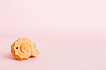 Summer time concept with sea shells or starfish on a table background with copy space for text.の写真素材