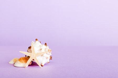 Summer time concept with sea shells or starfish on a table background with copy space for text.の写真素材