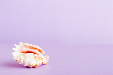 Summer time concept with sea shells or starfish on a table background with copy space for text.の写真素材