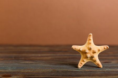 Summer time concept with sea shells or starfish on a table background with copy space for text.の写真素材