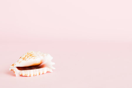 Summer time concept with sea shells or starfish on a table background with copy space for text.
