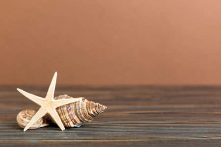 Summer time concept with sea shells or starfish on a table background with copy space for text.