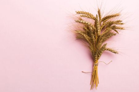 Sheaf of wheat ears close up and seeds on colored background. Natural cereal plant, harvest time concept. Top view, flat lay with copy space.の写真素材