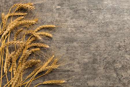 Sheaf of wheat ears close up and seeds on colored background. Natural cereal plant, harvest time concept. Top view, flat lay with copy space.の写真素材
