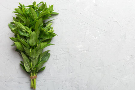 Fresh mint bunch on colored table. Top view with copy space.