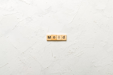 Mold word written on wood block. Mold text, concept.の写真素材