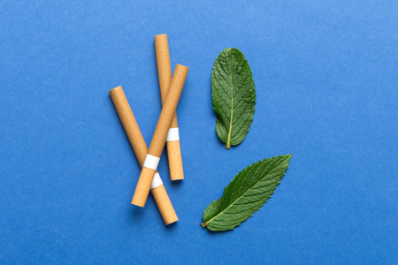 Cigarettes and fresh mint leaves on colored background, Many cigarettes stacked together top view flat lay.の写真素材