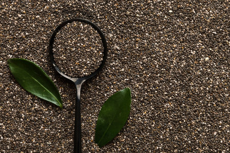 Space for text Texture of chia seeds with spoon, superfood concept. Top view.の写真素材