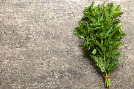 Fresh mint bunch on colored table. Top view with copy space.の写真素材