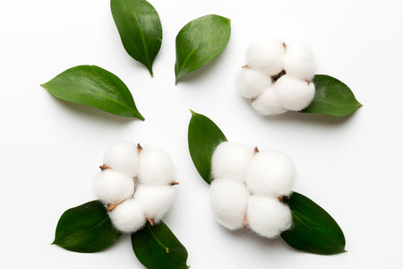 Autumn Floral Flat lay background composition. Dried white fluffy cotton flower branch with green leaf top view on colored table with copy space.の写真素材