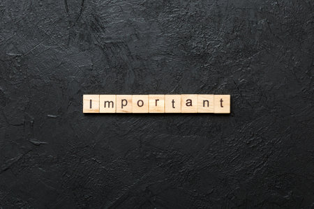 important written word on wood block. important text on table for your design, concept.