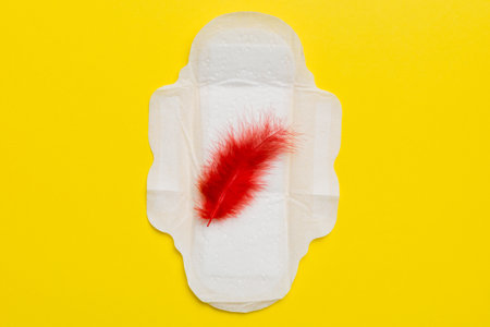 Women hygiene products or Sanitary pad with red feather on colored background. Pastel color. Closeup. Empty place for text. Female daily hygiene.の写真素材