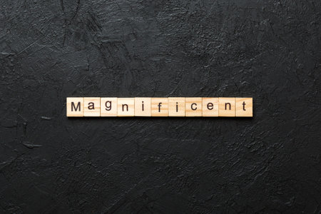 magnificent written word on wood block. magnificent text on table, concept.の写真素材