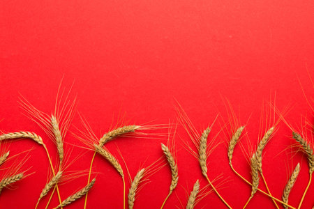 Sheaf of wheat ears close up and seeds on colored background. Natural cereal plant, harvest time...