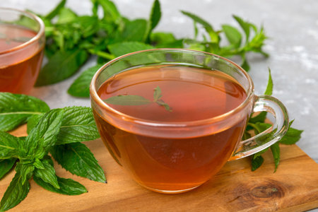 Cup of mint tea on table background. Green tea with fresh mint top view with copy space.の写真素材