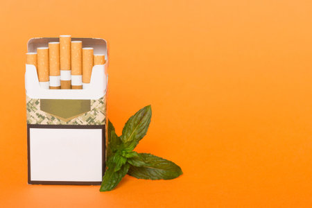 Pack of menthol cigarettes and fresh mint on colored table, Menthol cigarettes top view flat lay.の写真素材