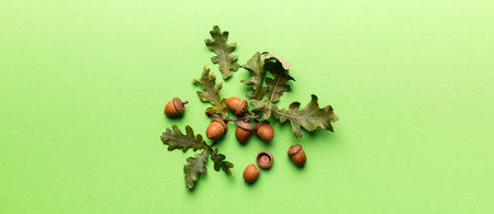 Branch with green oak tree leaves and acorns on colored background, close up top view.