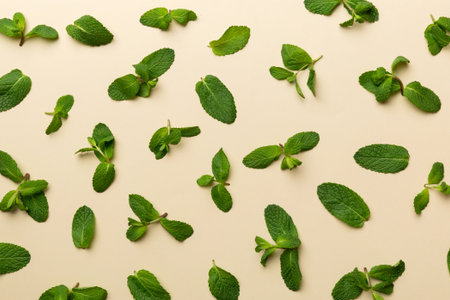 Fresh green mint leaves on white background, Mint leaves pattern Top view with copy space.