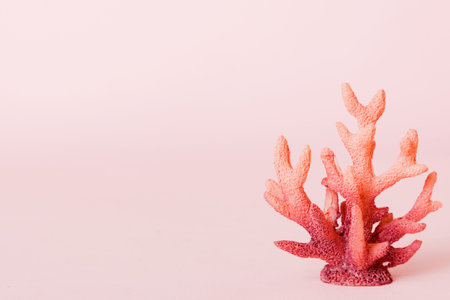 Summer time concept with sea shells or starfish on a table background with copy space for text.