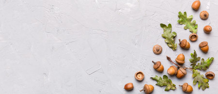 Branch with green oak tree leaves and acorns on colored background, close up top view.