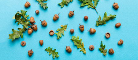 Branch with green oak tree leaves and acorns on colored background, close up top view.